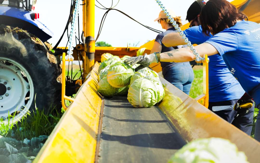 Sustainable Practices Drive the 2024 Success of the Hunger Task Force Farm