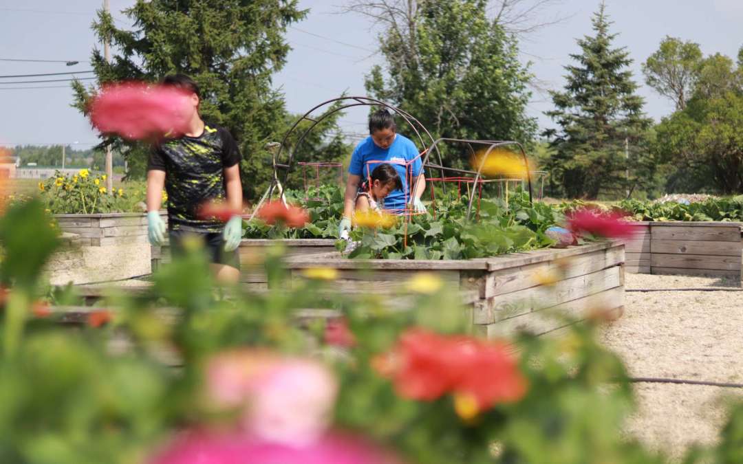 Sprouting Healthy Habits: Garden-to-Plate Program Nurtures Young Chefs