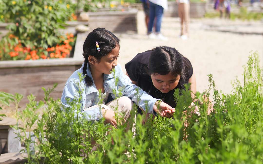 The Farm’s School Garden Wraps Up a Productive Year