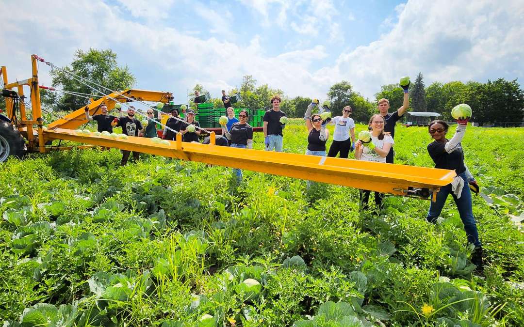 Hunger Task Force Reports Bountiful Harvest at The Farm in 2024