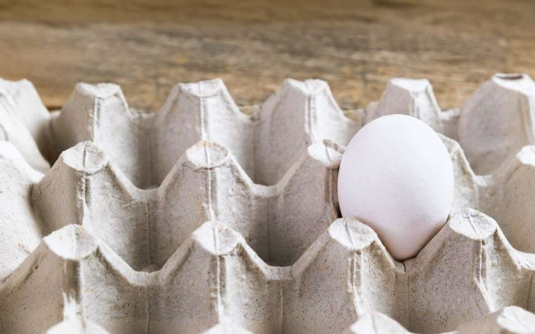 How to Budget for Your Next Grocery Visit Amidst the Egg Shortage